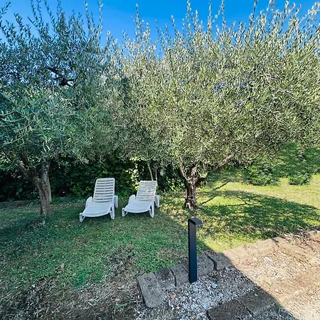 Golden * لاتيزي